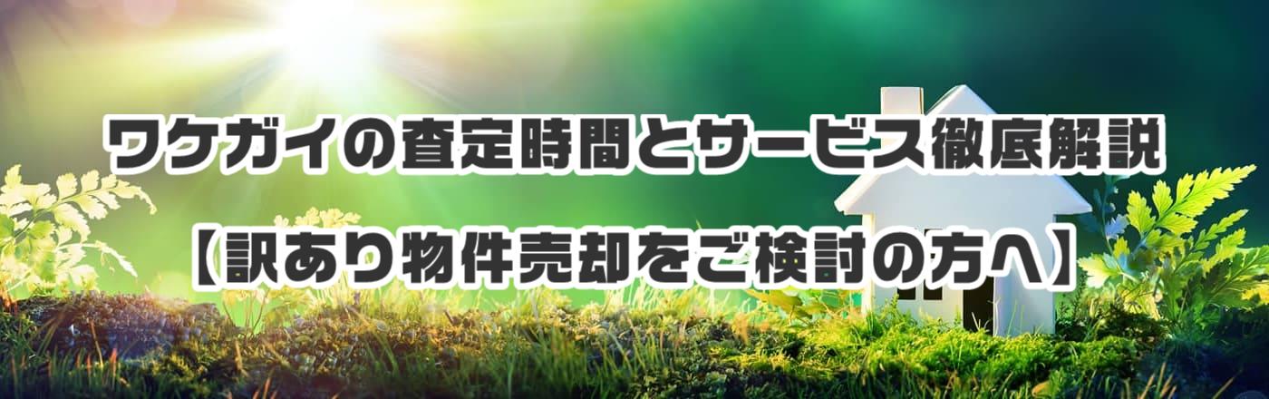 PKC̍莞Ԃ͂ǂꂭ炢Ȃ́HڈmF
